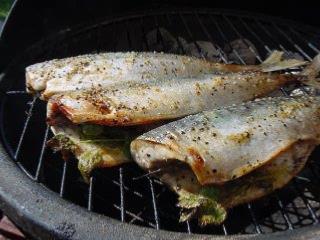 How to BBQ Mackerel With Lemon Recipe