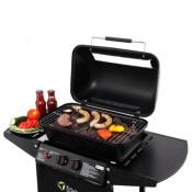 Tepro Irvine 2 Burner Gas BBQ With Lava Rocks