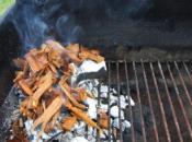 Step by Step Guide to Smoking Food on Your BBQ