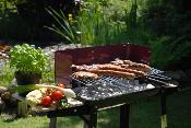 Landmann Wagon Barbecue Grill.